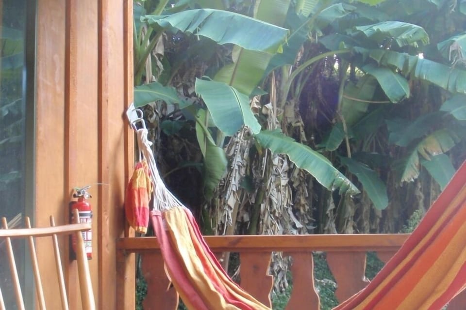 a book and listen to the birds