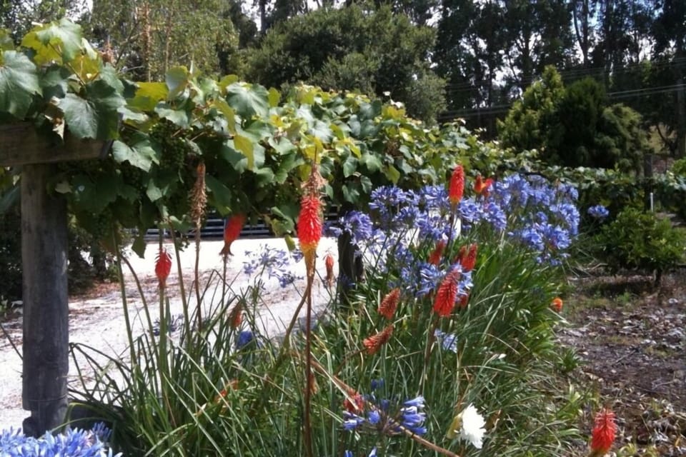summer colours