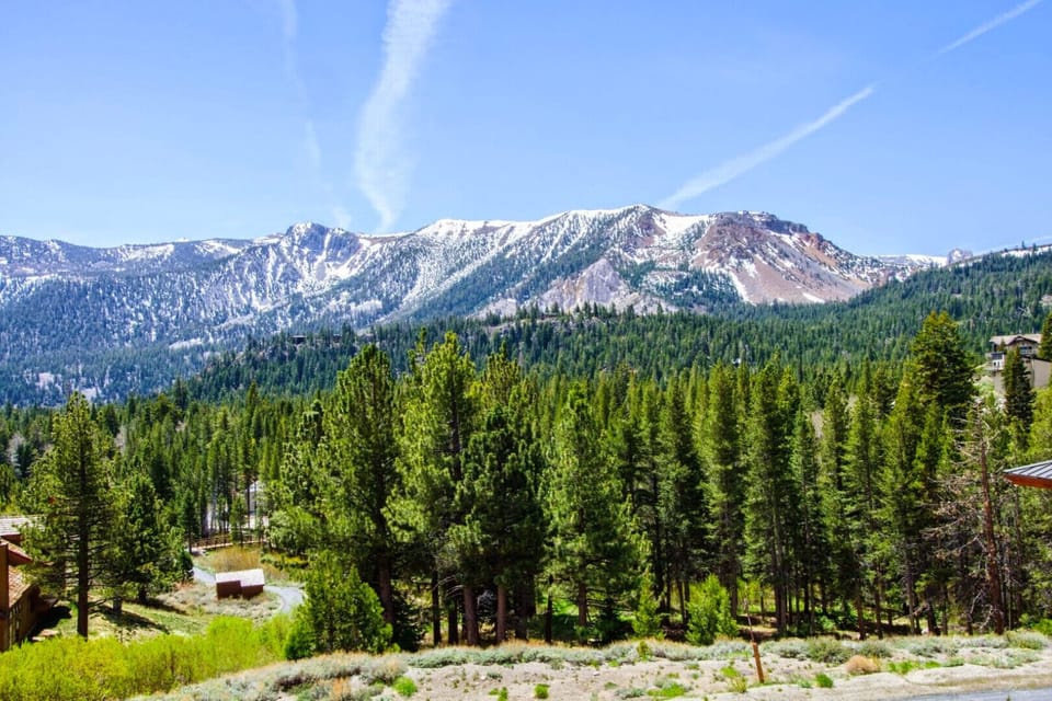 Beautiful views from Bedroom #2, Dining Room and Living Room 