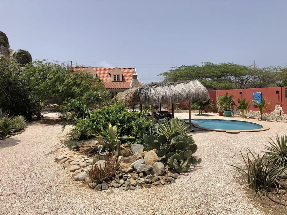 Overview taken from the back of the garden 