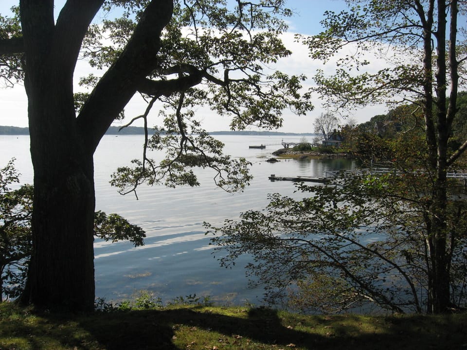 Seascape yard at waters edge