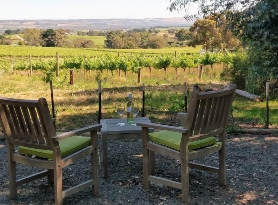 Relax in peace & privacy with a glass of wine.