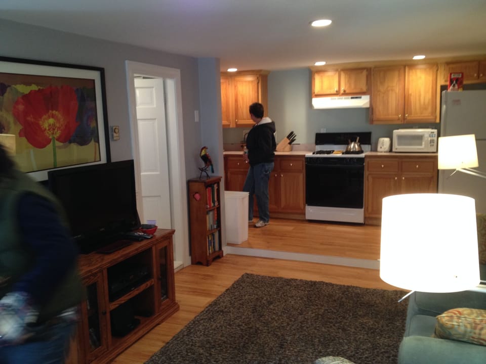 Living room and kitchen 