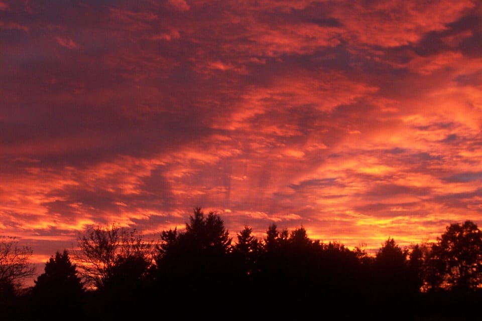 A meadow sunset. It speaks for itself.
