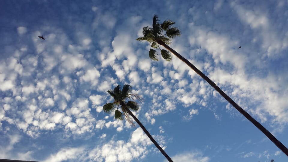 Beautiful Sunny Scottsdale Skyview from your lounge chair at the pool.