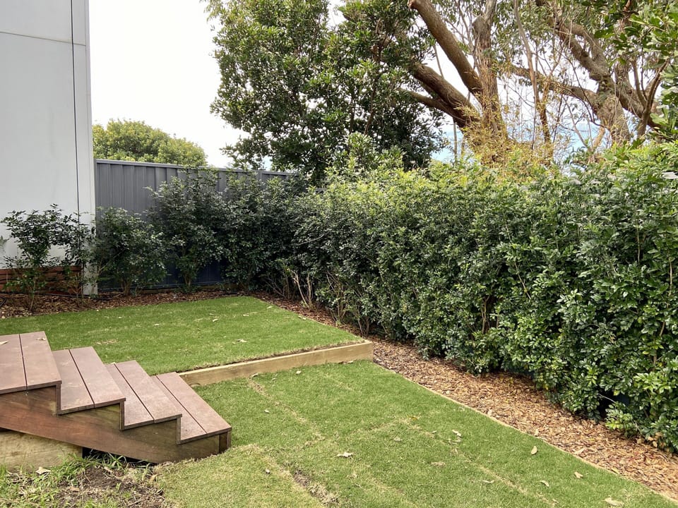 Yard
