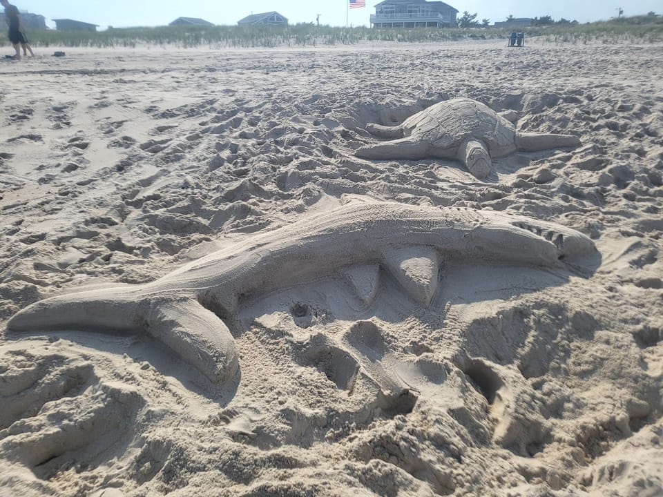 Beach Art
