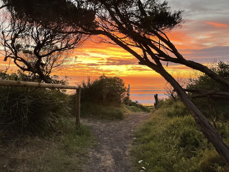 Beach track sunrise