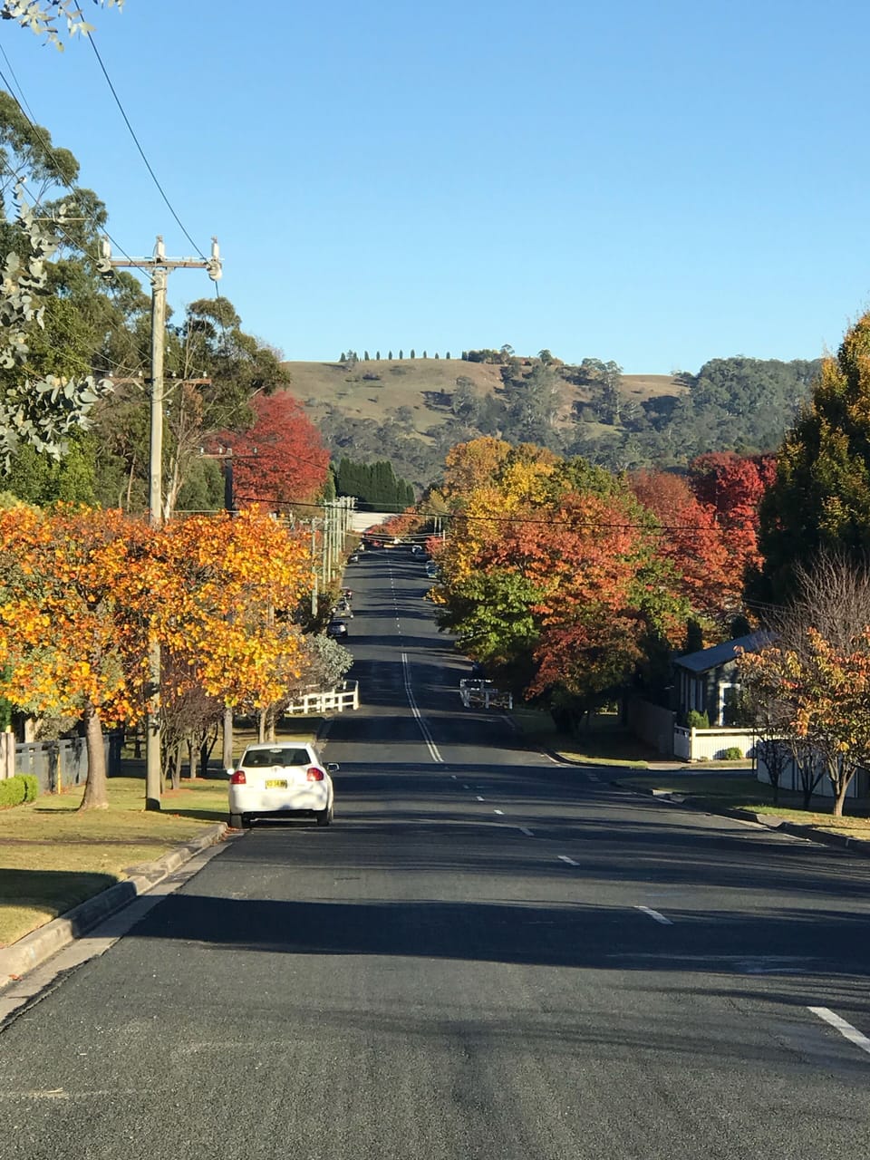 View along Shepherd St