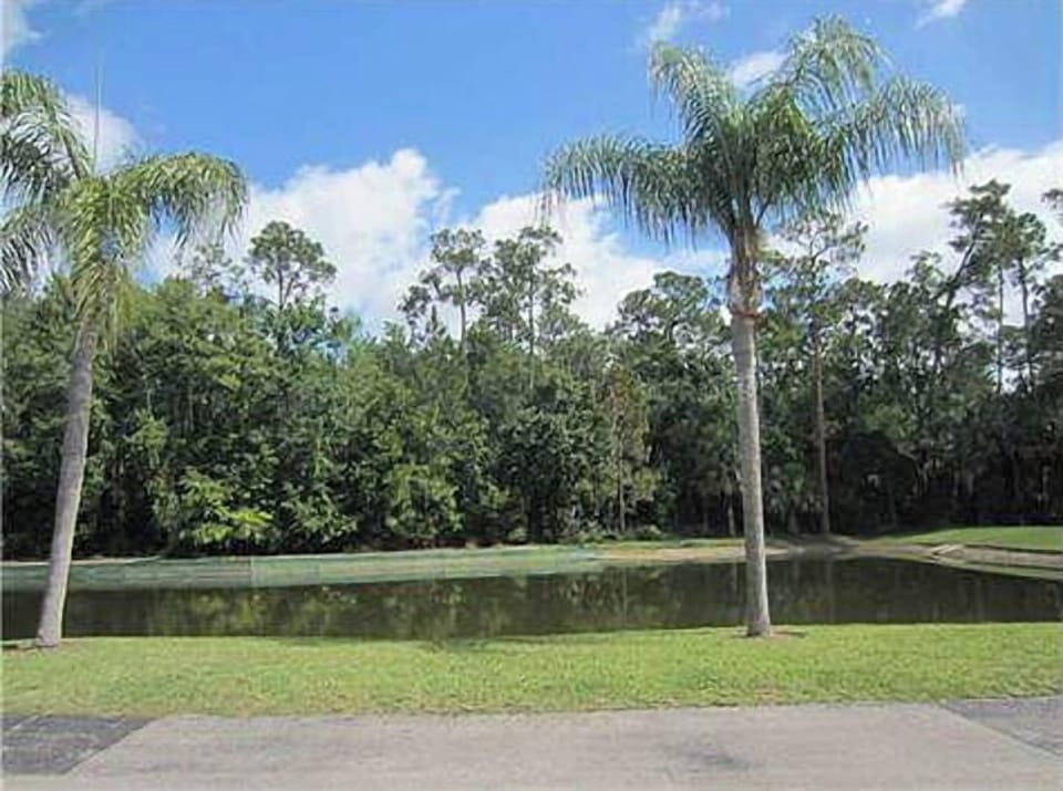 view from front window