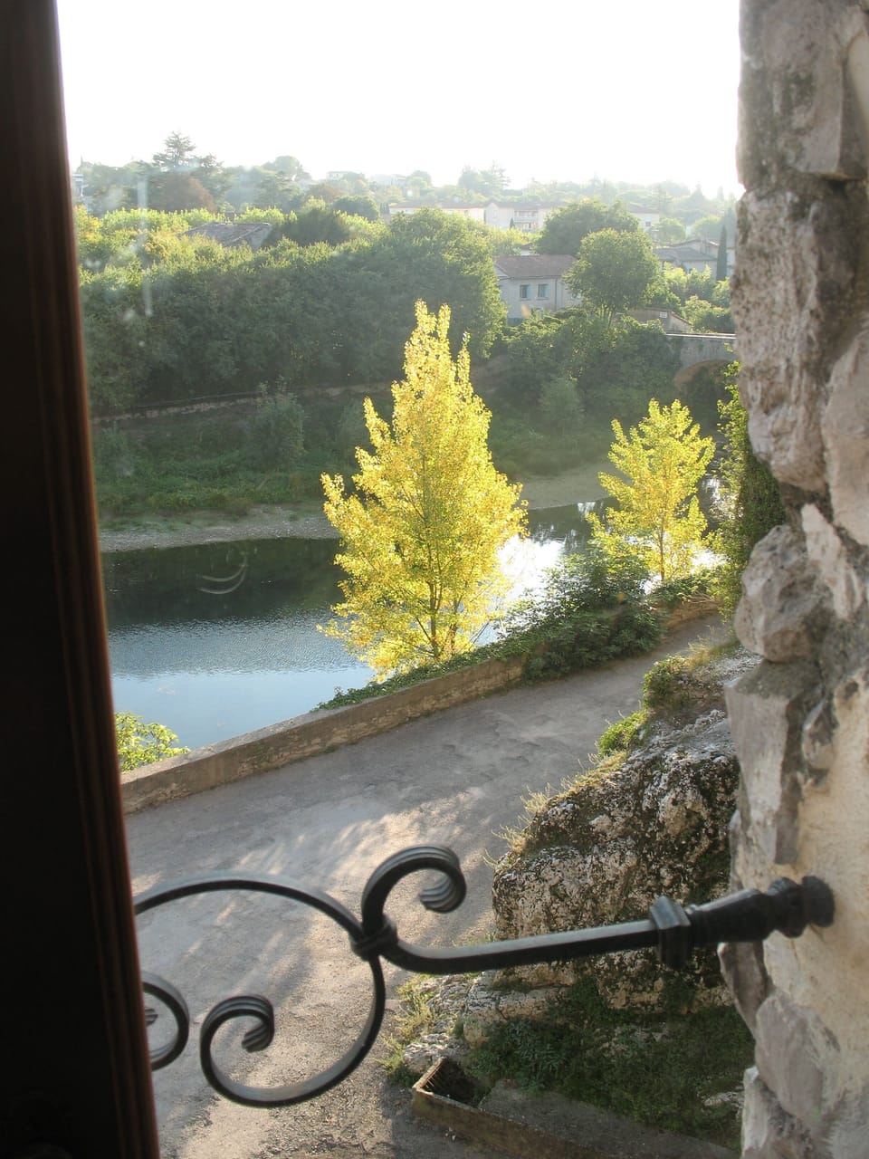 Vue from apartment of golden poplar trees along the Vidourle river