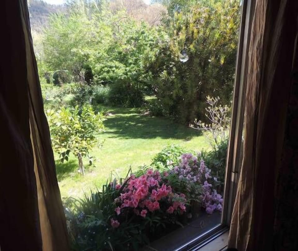 Views to the garden 