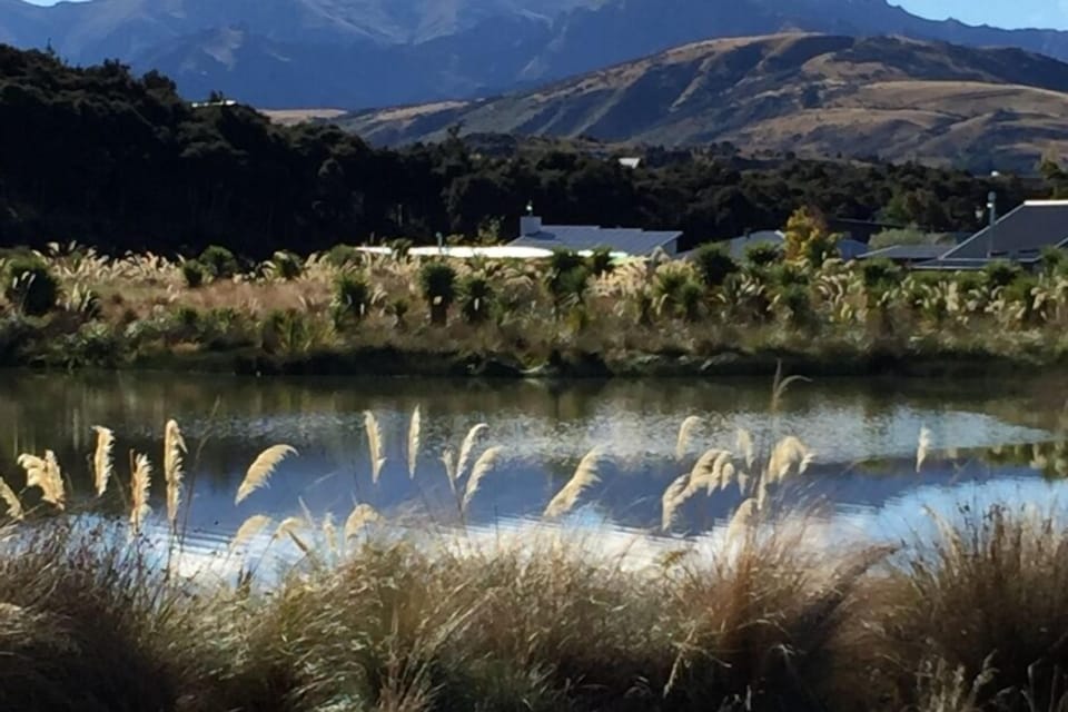Reserve looking across to Mt Gould