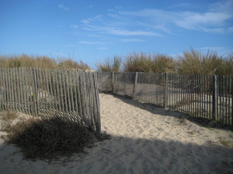 Short, beautiful path from unit to beach!