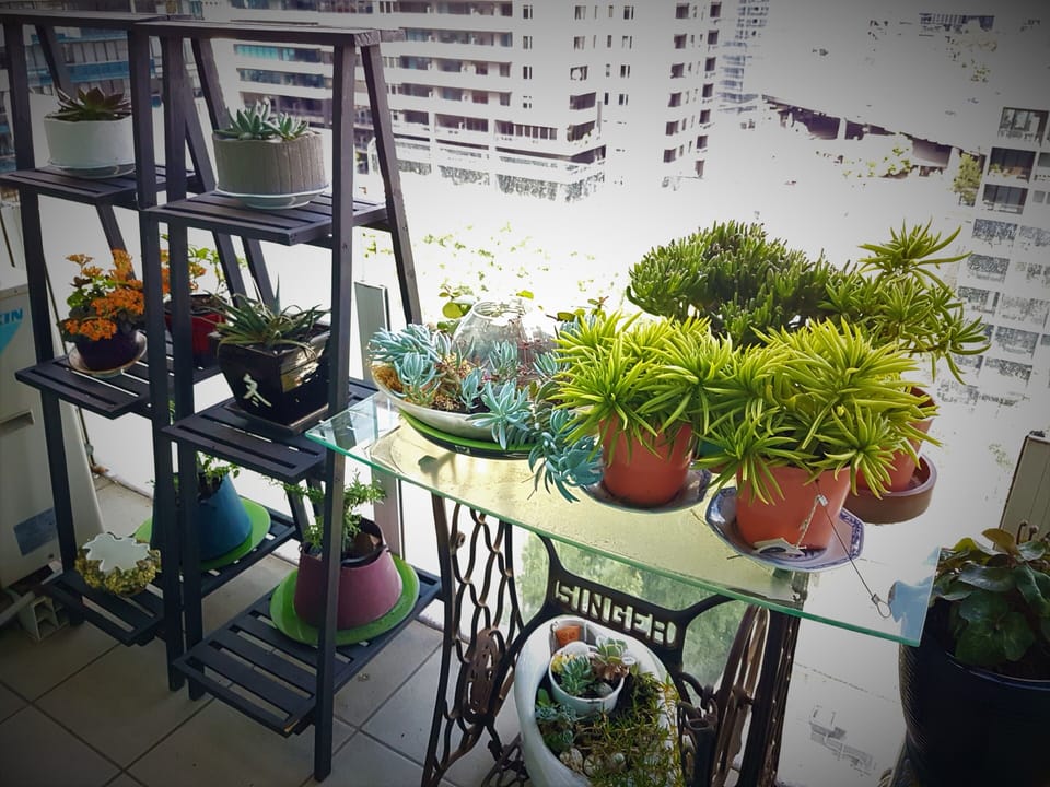 Balcony garden