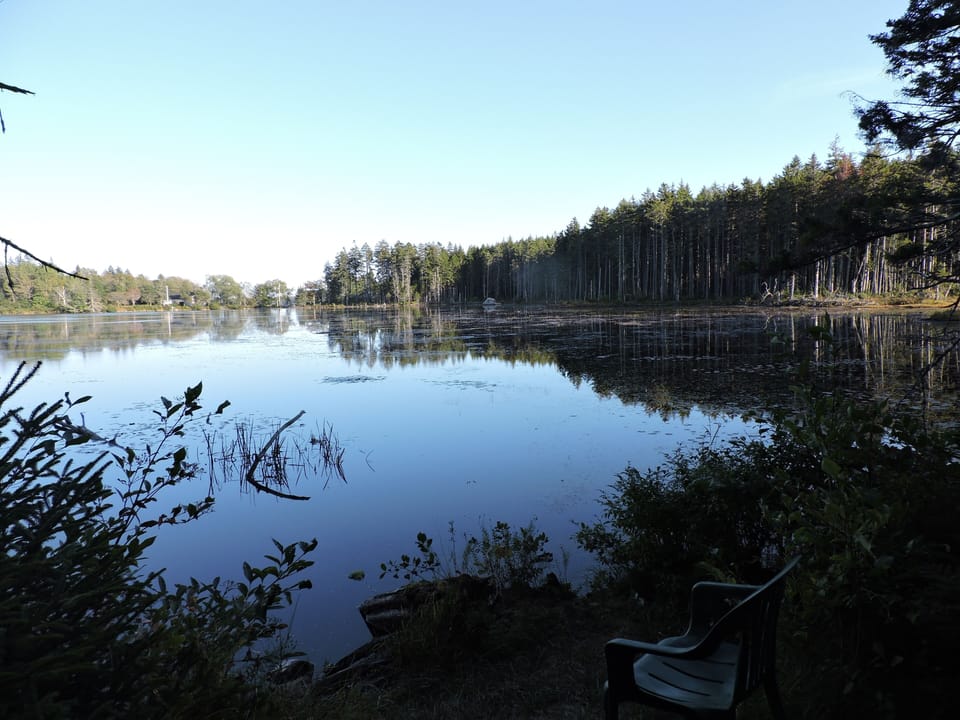 Crystal Pond Seen from the Martin Point Wildlife Reserve 