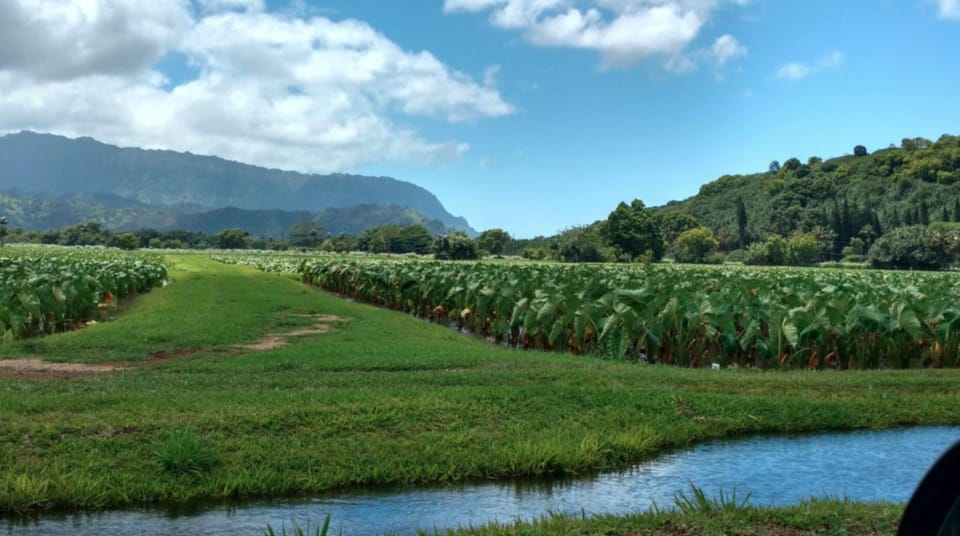 Hanalei Kalo - Explore the beauty of Hanalei by foot, bike or car.