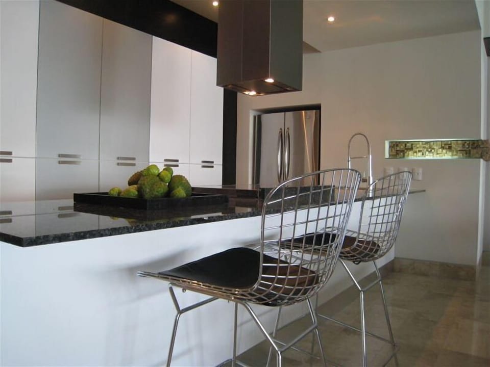 Italian Berloni kitchen with stainless appliances and Bertoia bar stools