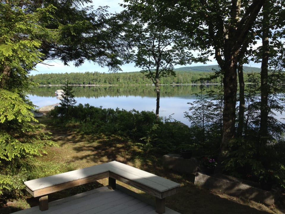 The Cove