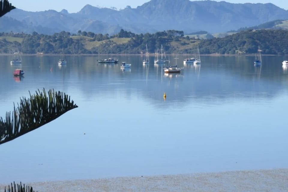Coromandel Harbour