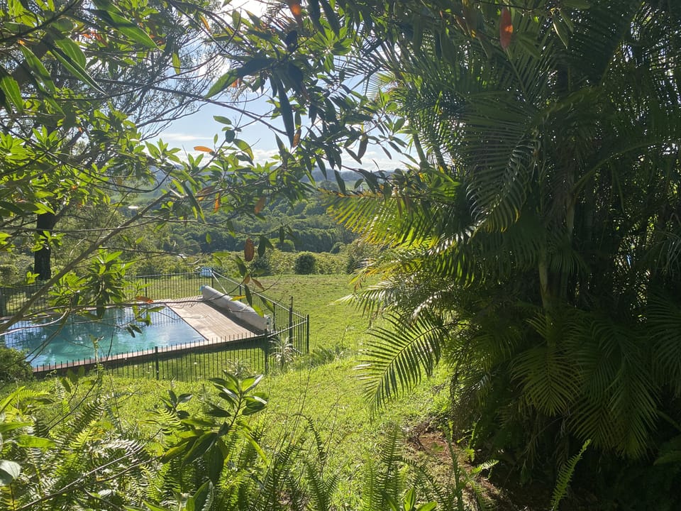 the pool from the hut patio
