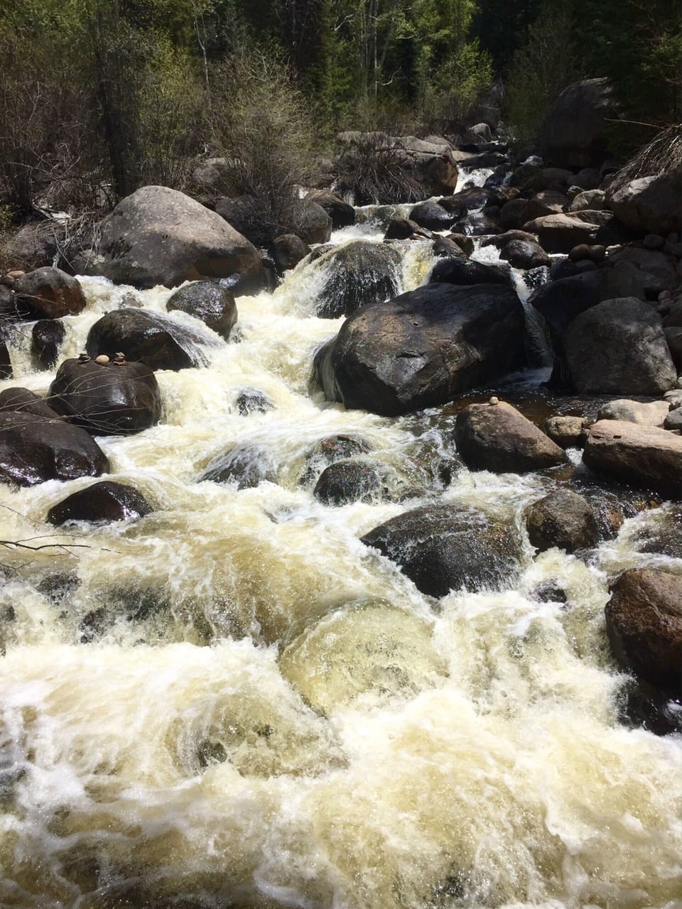 Hunter Creek in the Spring Time