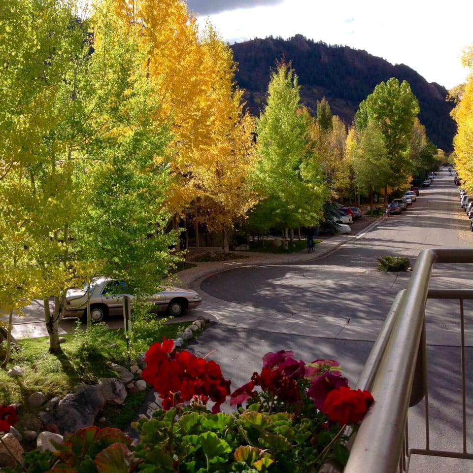 Fall View From Condo