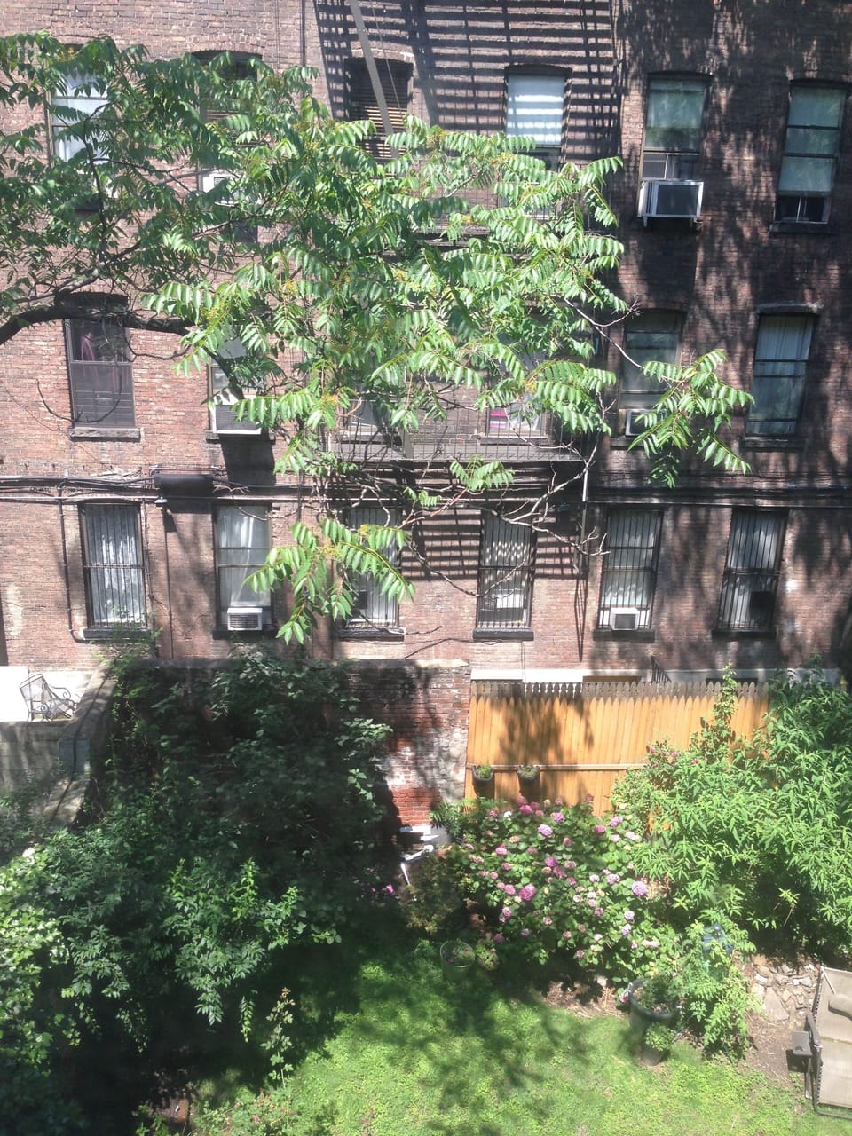 Apartment faces quiet backyard