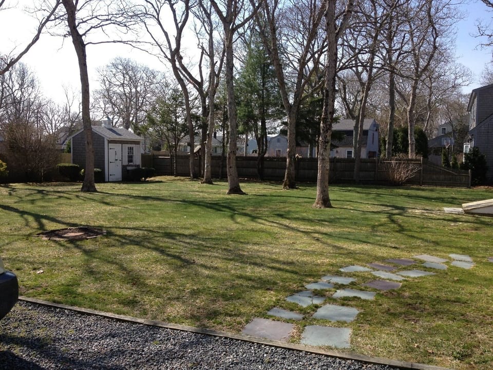 Large Spacious Back Yard