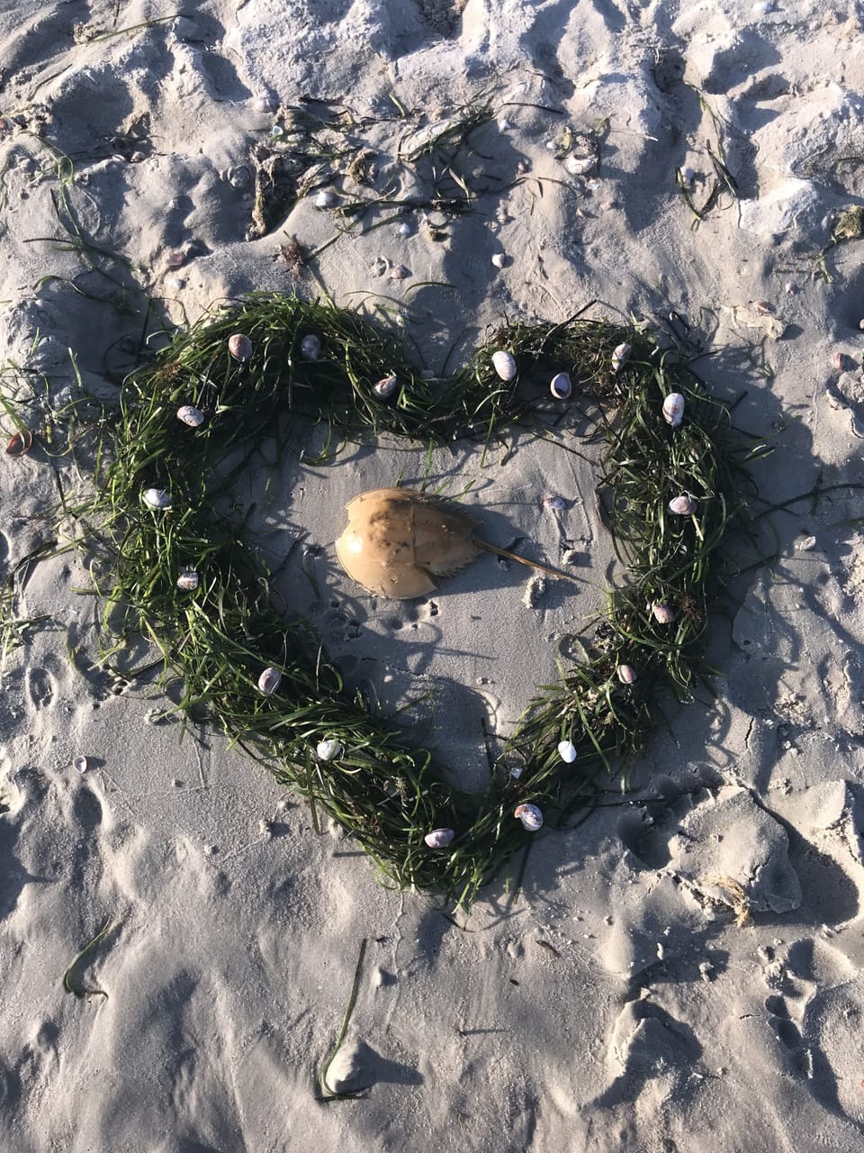 You will love Bass River beaches! 