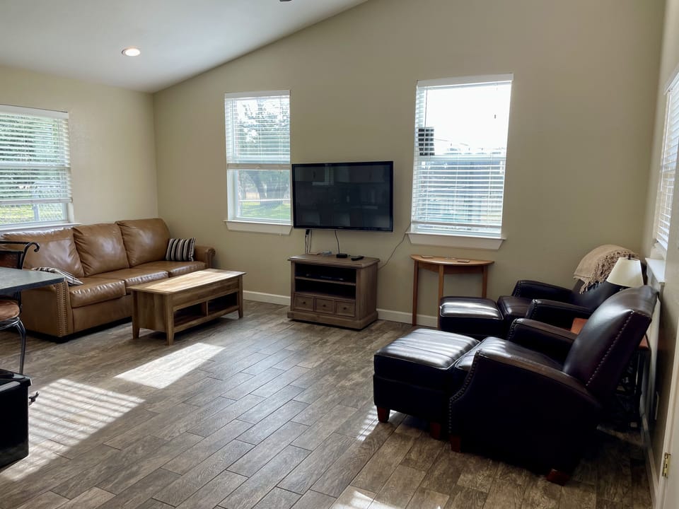 Couch has a pullout bed.