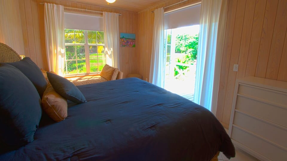 Downstairs queen bedroom
