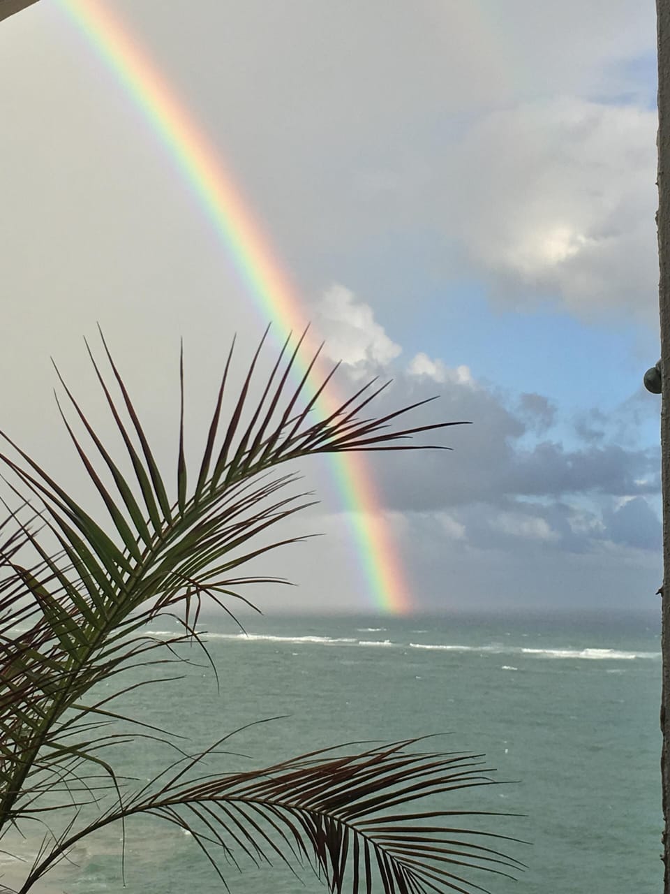 Rainbows are a common sight, but you always feel lucky when you see one!