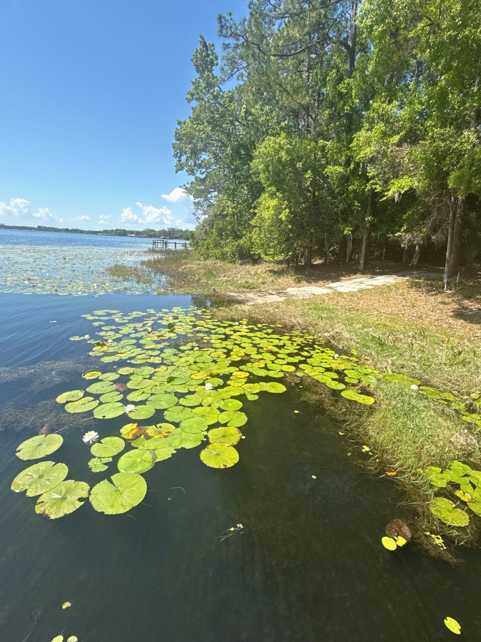 Boat ramp, April 2026
