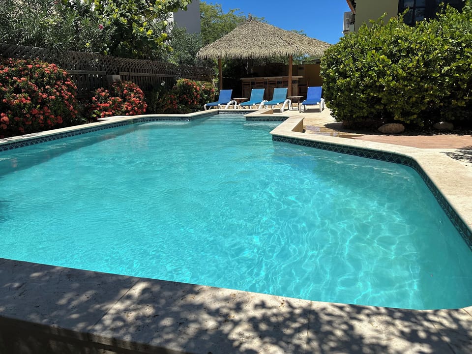 View of Pool, Gazebo & Bar - Pic Date: March 2025