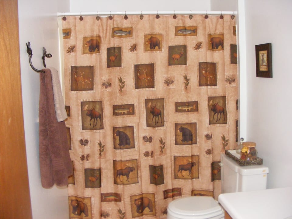 Guest bathroom