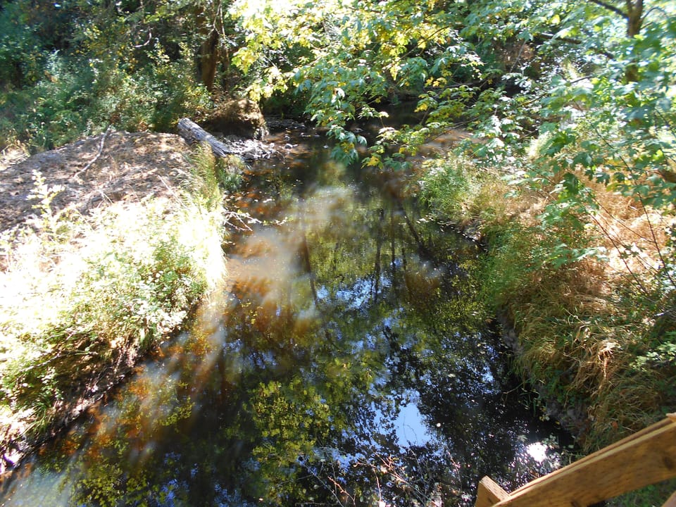 Elk Creek in front of cottage