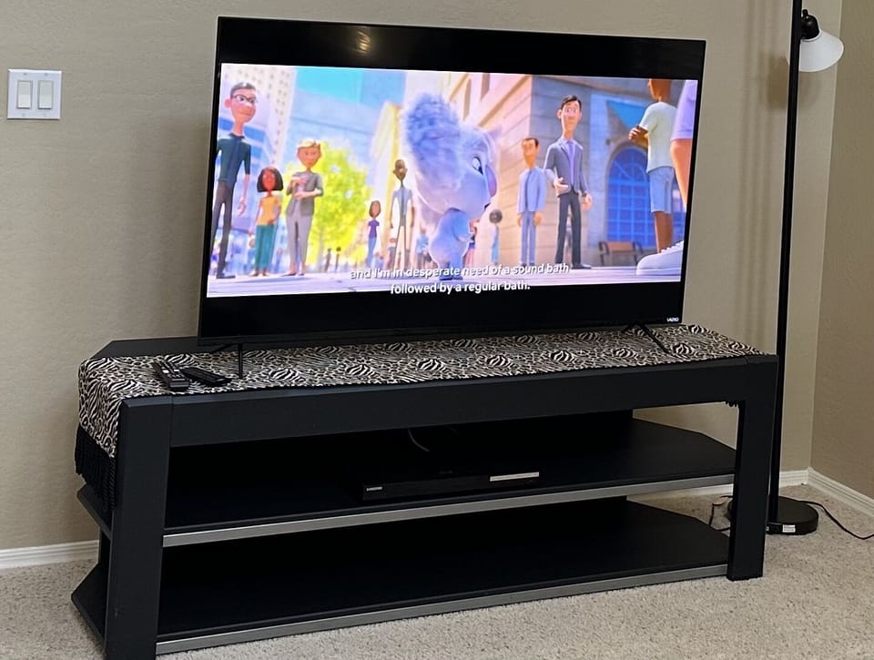 Television