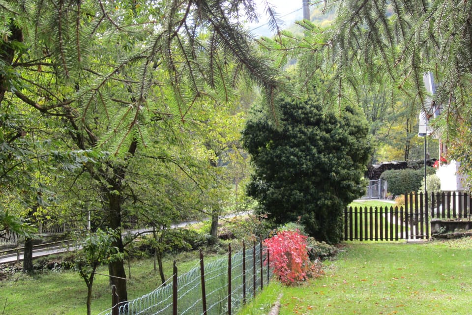 the front garden