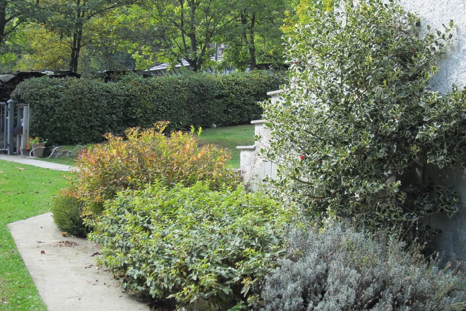 on the way out, our garden