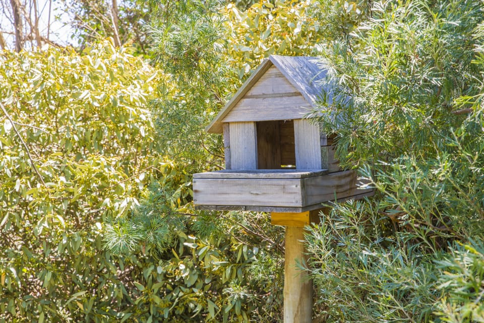 BIRD FEEDER HOUSE IN BACK YARD