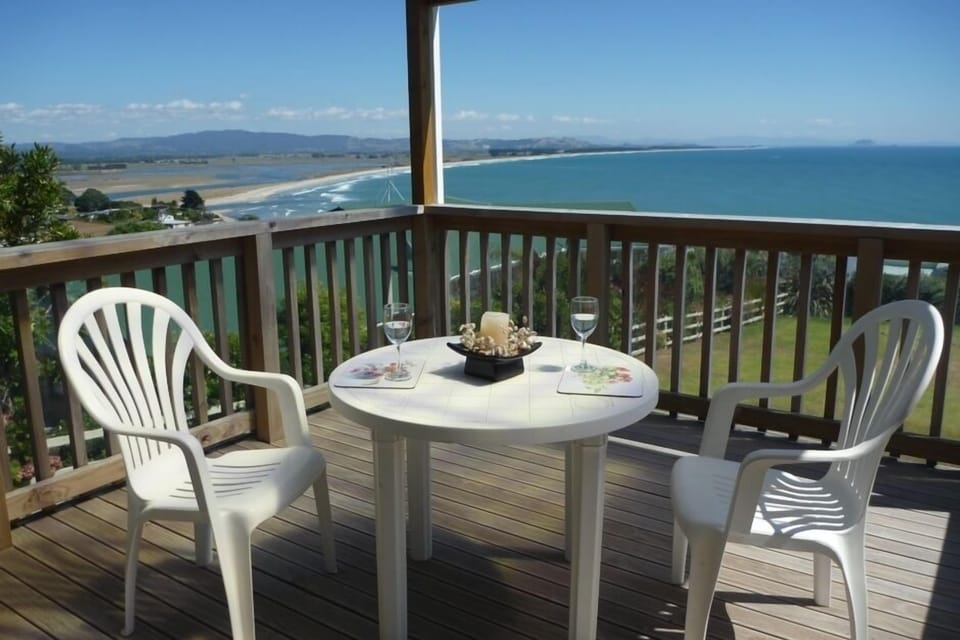 Enjoy G and Ts or Wine on the deck 