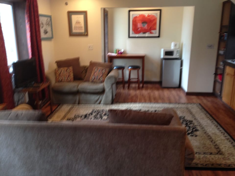 Living room/kitchenette with stove top, pots/pans, sink, coffee pot, microwave