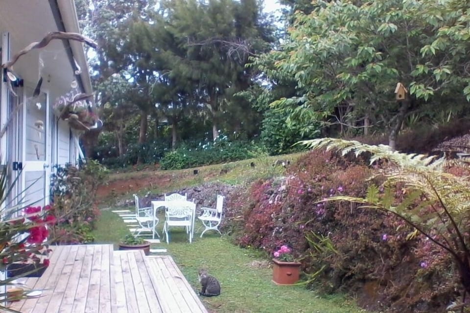 private back yard