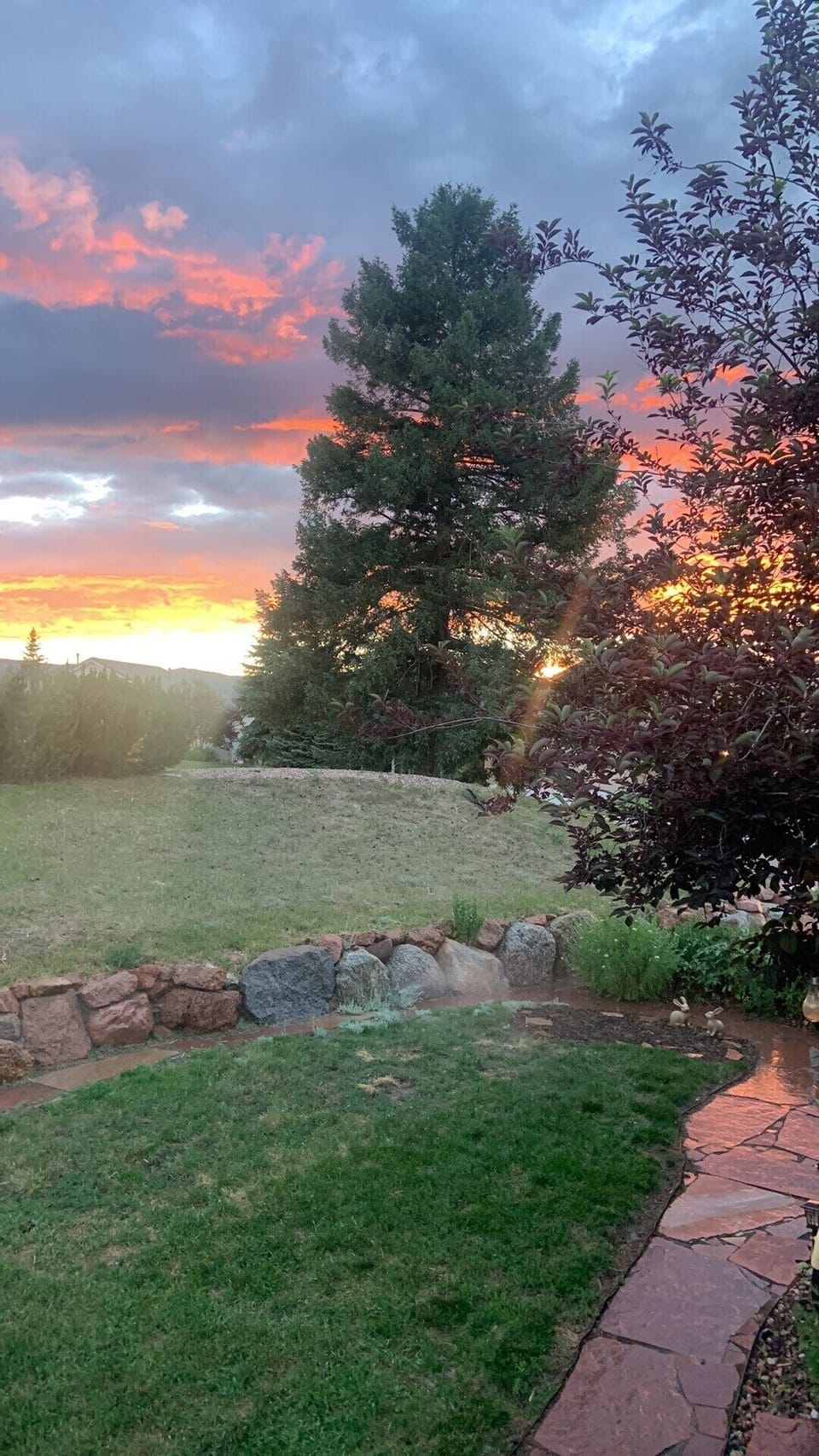 Sunset side yard looking towards mountains