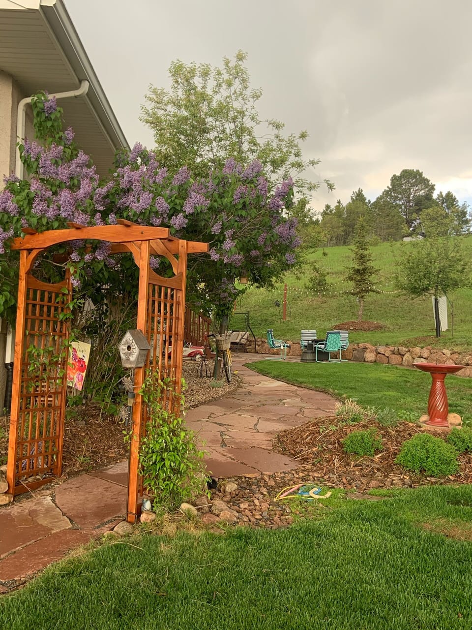 Side yard