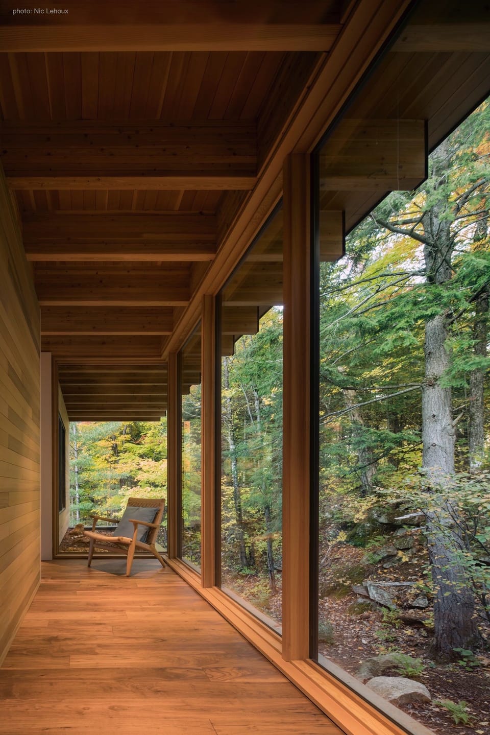 Mastersuite corridor: framed by wraparound forest views