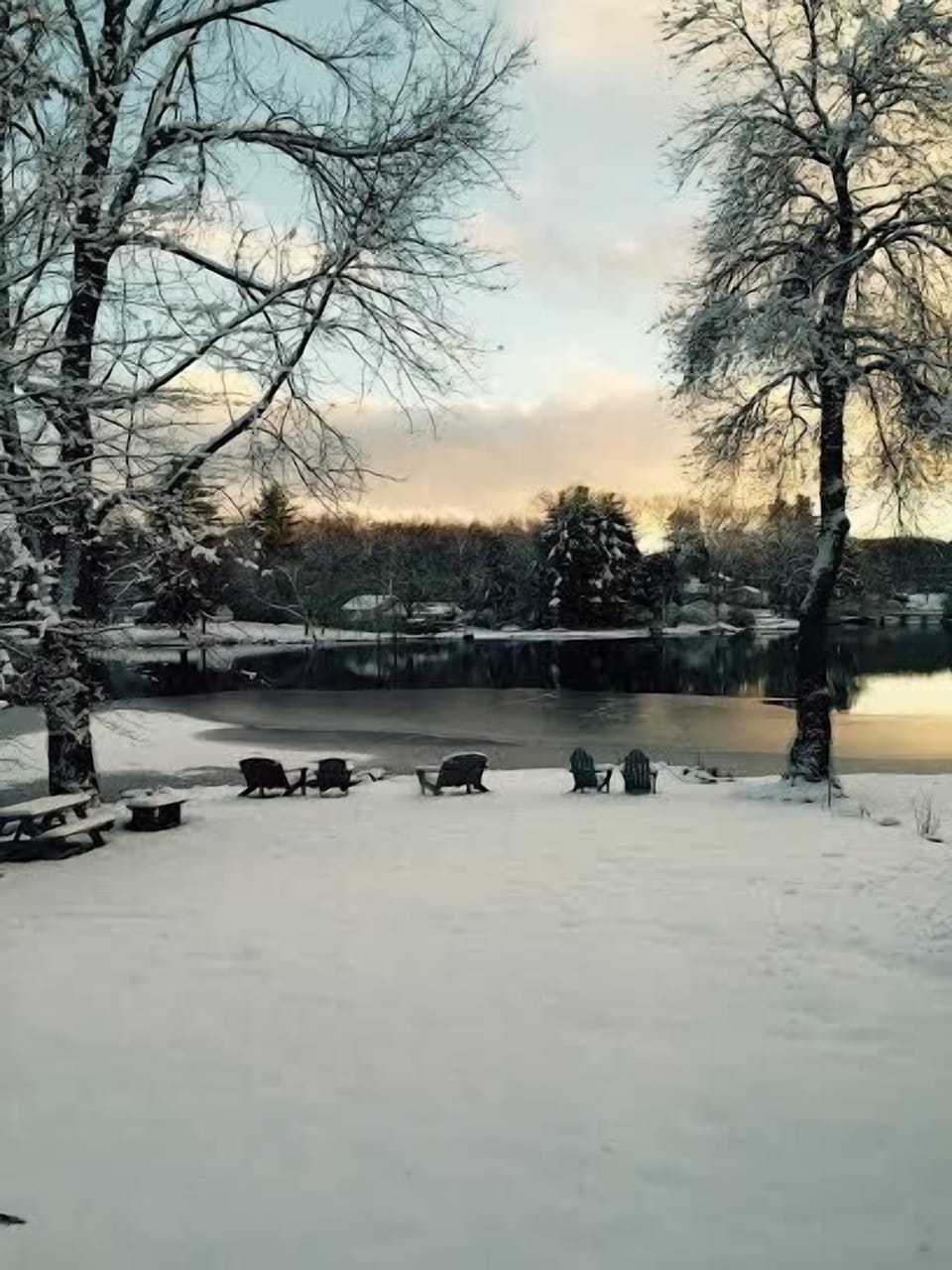 Winter wonder land! Taken 11/28/14
