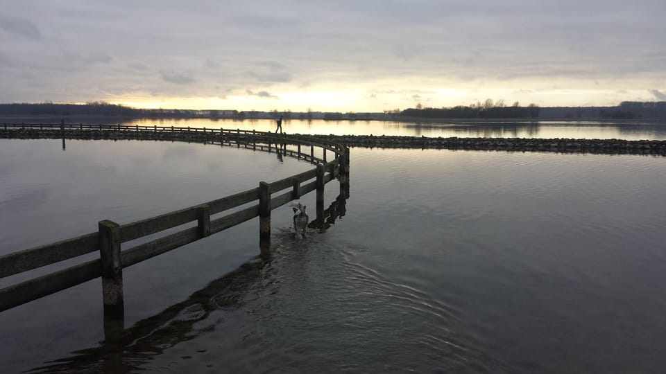 het Veerse Meer 
