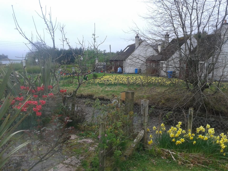 Sitting room view